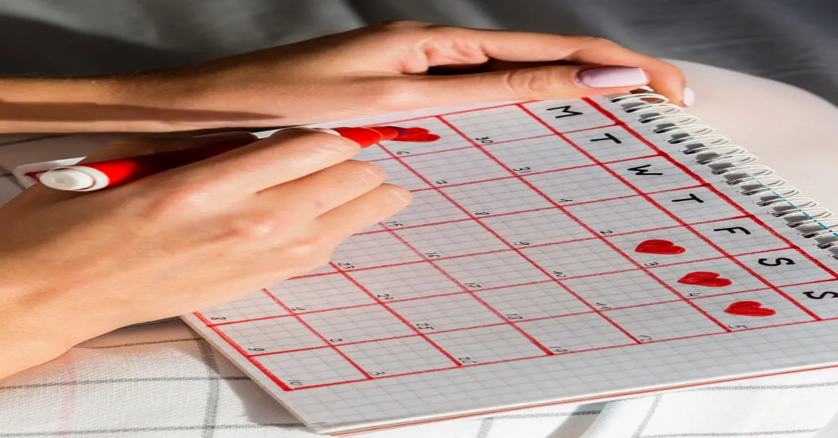 Hentai Release Calendar